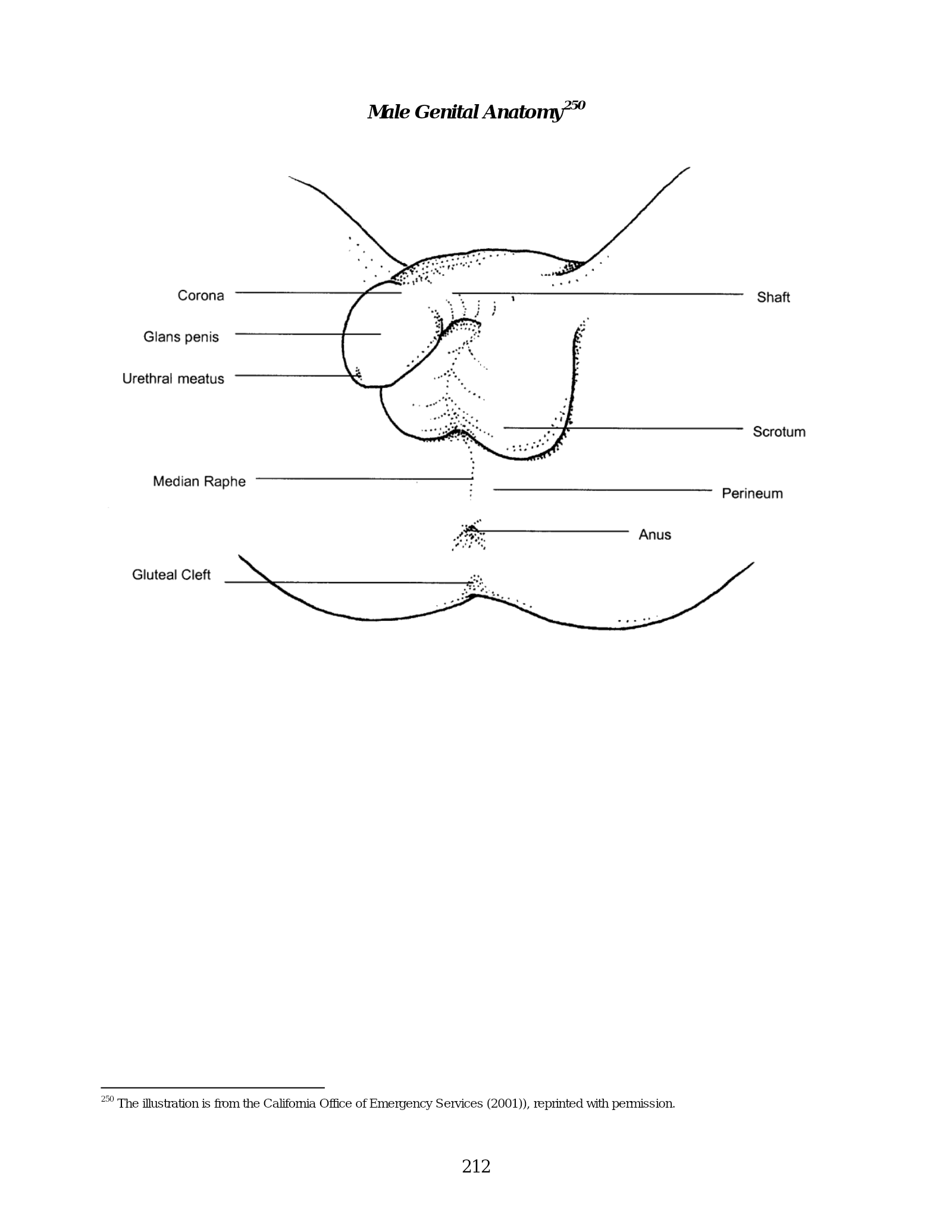 Complete printed PDF page 218