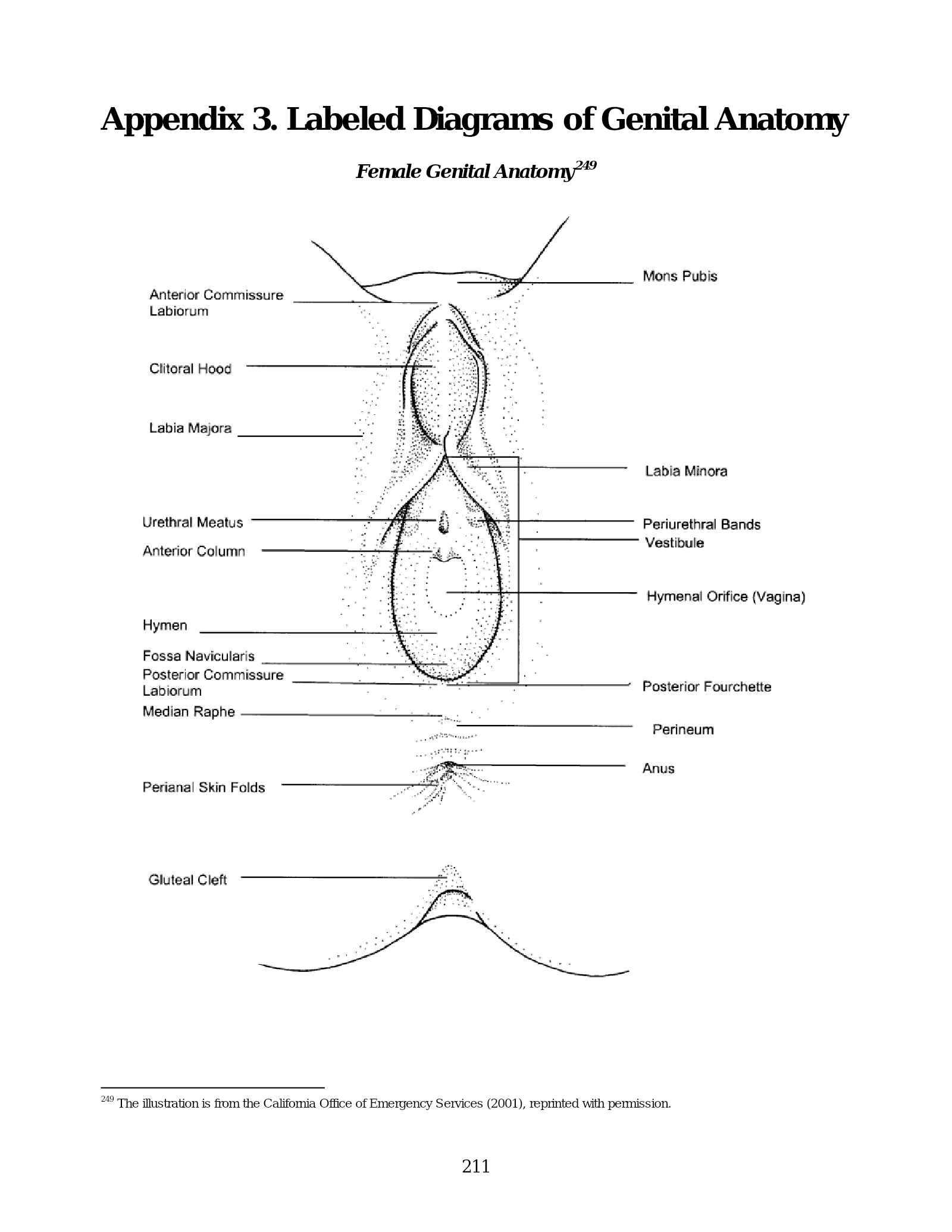 Complete printed PDF page 217